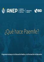 ¿Qué hace Paemfe?